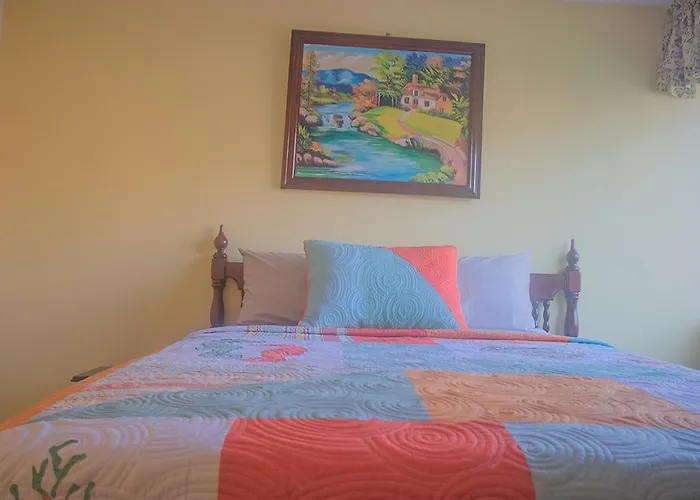 Dreams At Turtle Towers *